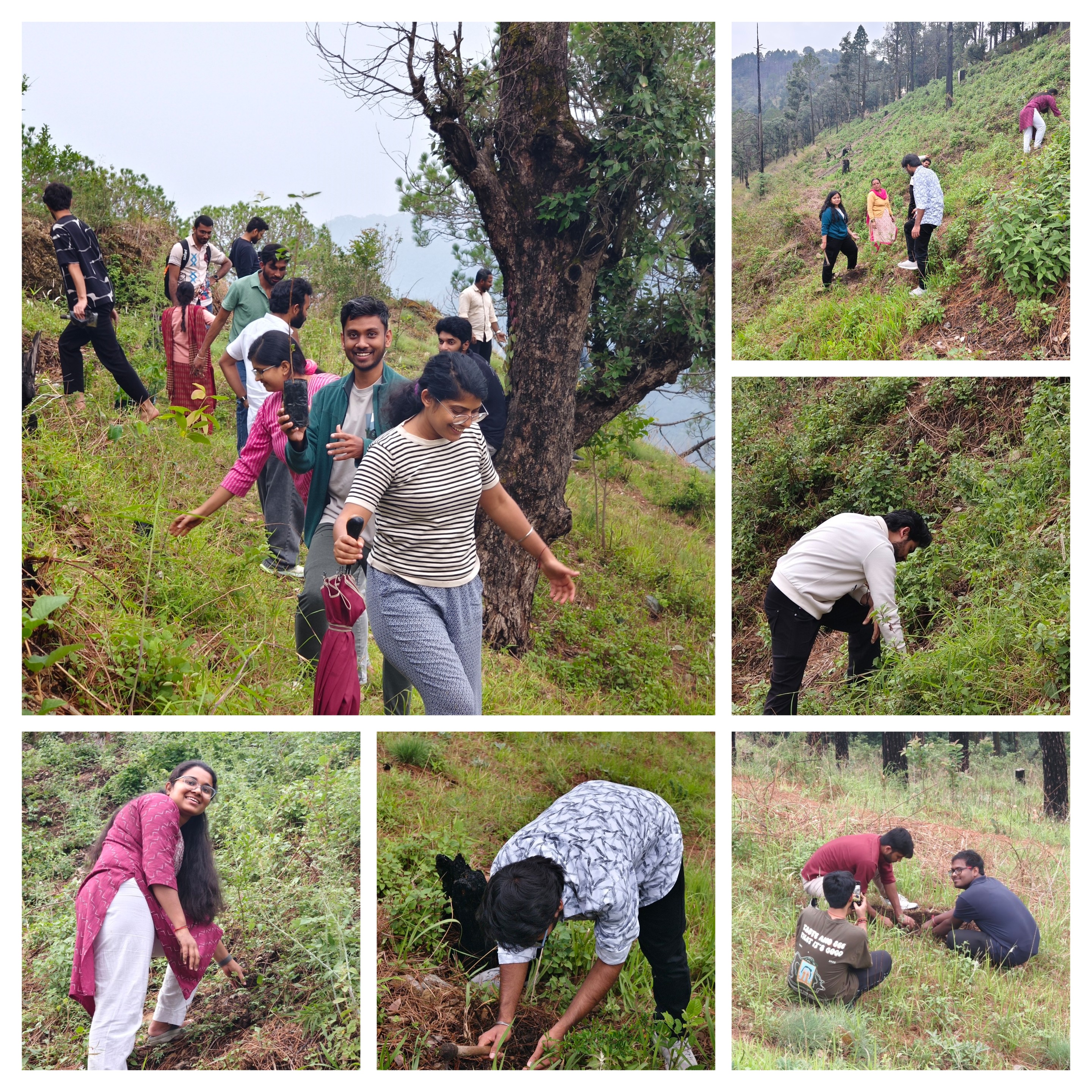 World Environment Day Plantation Drive