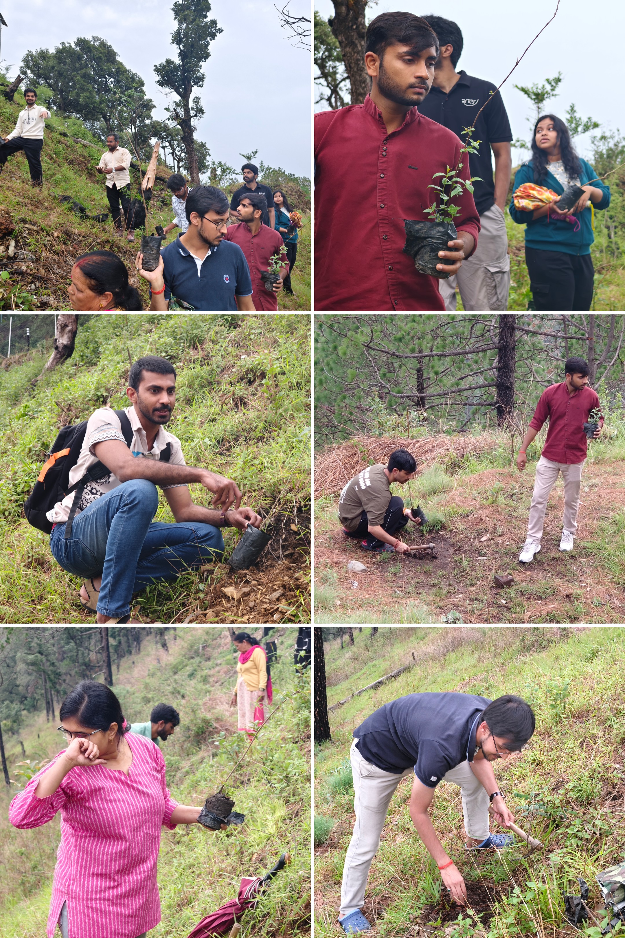 World Environment Day Plantation Drive