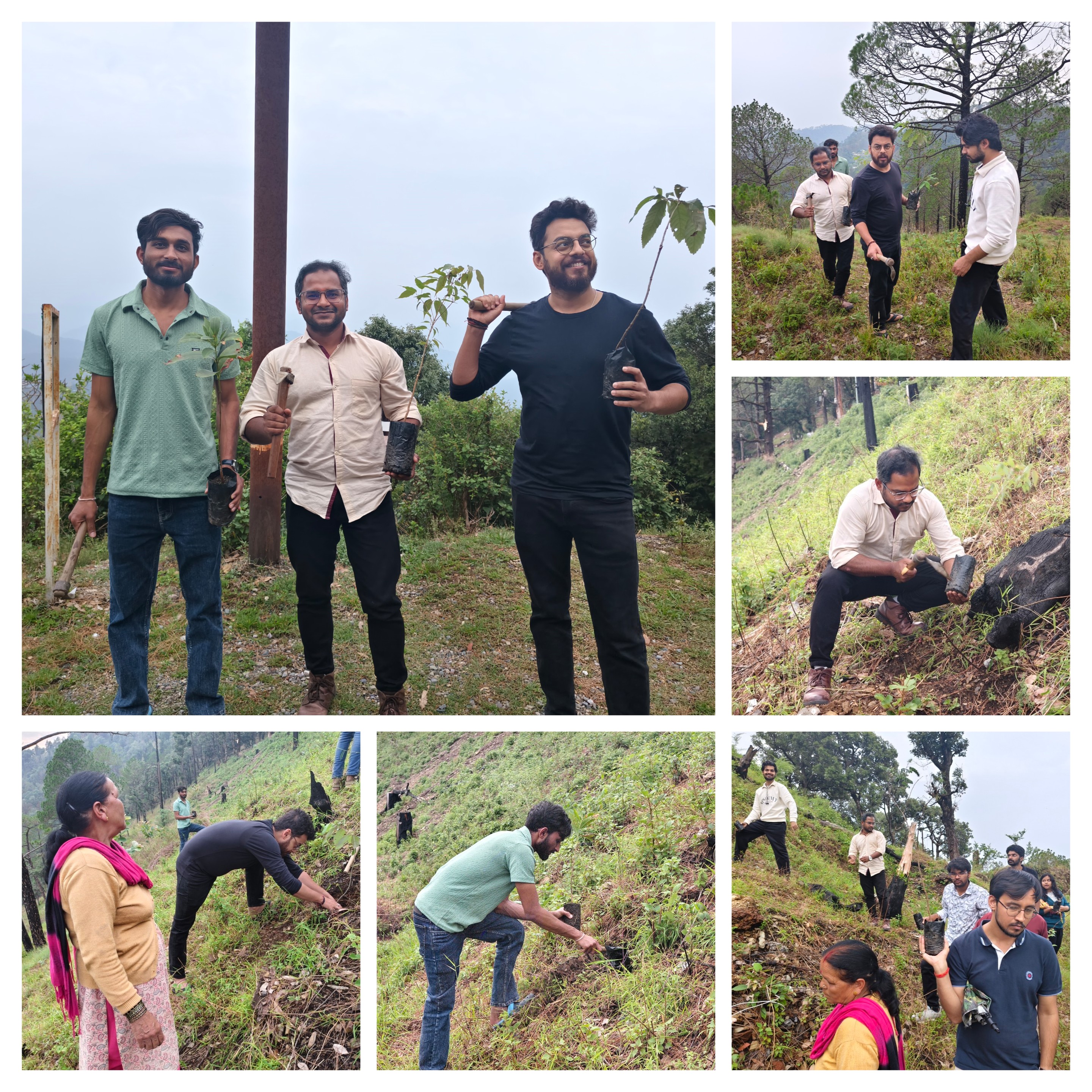 World Environment Day Plantation Drive